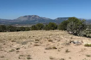 26 Turkey Creek Ranches, Gardner, CO 81040 - Photo 1