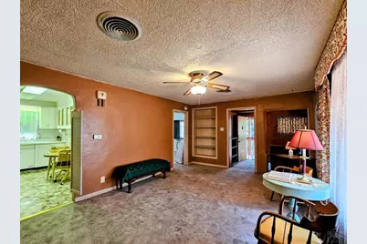 1003 E 14th St, Pueblo, CO 81001 - Photo 8