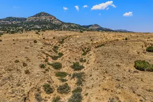 20402 Co Rd 40, Trinidad, CO 81082 - Photo 32