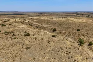 20402 Co Rd 40, Trinidad, CO 81082 - Photo 36