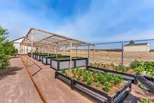 1673 N Calle Rosa Dr, Pueblo West, CO 81007 - Photo 46