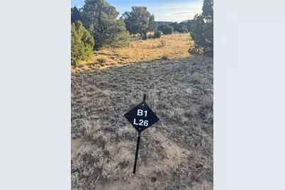 L23-25 B1 Black Diamond Dr, Walsenburg, CO 81089 - Photo 14