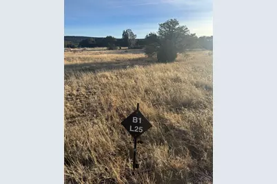 L23-25 B1 Black Diamond Dr, Walsenburg, CO 81089 - Photo 18