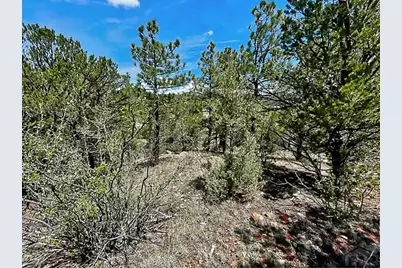 7080 Copper Gulch Road, Cotopaxi, CO 81223 - Photo 8