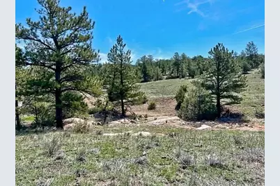 7080 Copper Gulch Road, Cotopaxi, CO 81223 - Photo 14