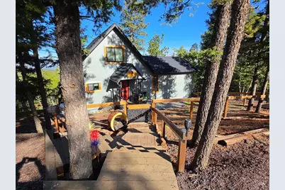 87 Bonanza Circle, Florissant, CO 80816 - Photo 2