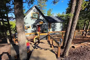 87 Bonanza Cir, Florissant, CO 80816 - Photo 2