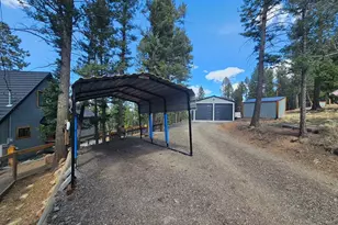 87 Bonanza Cir, Florissant, CO 80816 - Photo 26