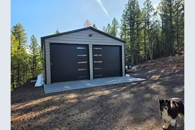 87 Bonanza Circle, Florissant, CO 80816 - Photo 18