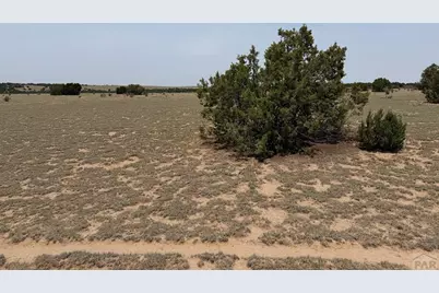 Lot 167 Tyrone Hills, Walsenburg, CO 81089 - Photo 10