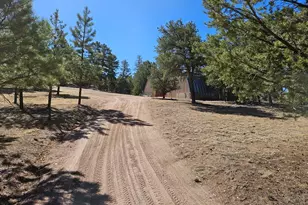 1900 Arnold Dr, Cotopaxi, CO 81223 - Photo 34