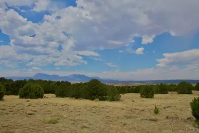 Tbd La Veta Pines Ranches, La Veta, CO 81055 - Photo 28