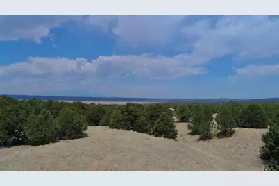 Tbd La Veta Pines Ranches, La Veta, CO 81055 - Photo 24