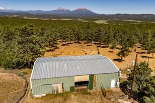 24401 Co Rd 44, Aguilar, CO 81020 - Photo 38