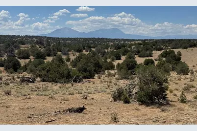 Lot F Twin Lakes Ranches, Walsenburg, CO 81089 - Photo 10