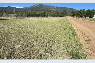 Tbd Pine Dr, Rye, CO 81069 - Photo 1