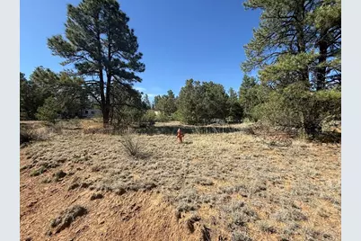 19963 Deer Path Ln, Weston, CO 81091 - Photo 16