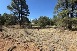 19963 Deer Path Ln, Weston, CO 81091 - Photo 16