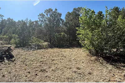 19963 Deer Path Ln, Weston, CO 81091 - Photo 14