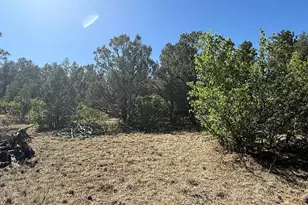 19963 Deer Path Ln, Weston, CO 81091 - Photo 14
