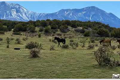 1704 County Rd 340, Walsenburg, CO 81089 - Photo 6