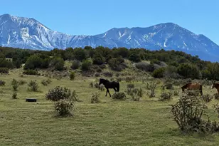 1704 Co Rd 340, Walsenburg, CO 81089 - Photo 6
