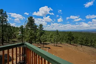 23251 Elk Trail, Aguilar, CO 81020 - Photo 32