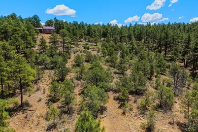 23251 Elk Tr, Aguilar, CO 81020 - Photo 48