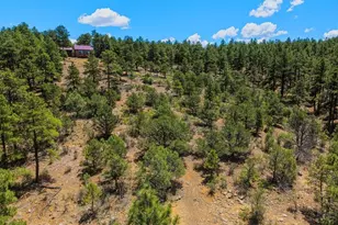 23251 Elk Trail, Aguilar, CO 81020 - Photo 48
