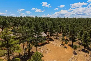 23251 Elk Trail, Aguilar, CO 81020 - Photo 50