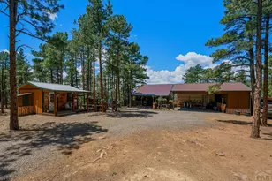 23251 Elk Trail, Aguilar, CO 81020 - Photo 26