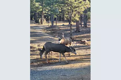 23251 Elk Tr, Aguilar, CO 81020 - Photo 60