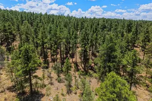 23251 Elk Trail, Aguilar, CO 81020 - Photo 44
