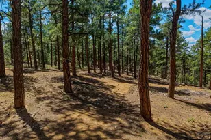 23251 Elk Trail, Aguilar, CO 81020 - Photo 46