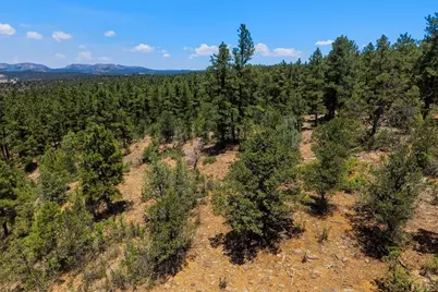 23251 Elk Tr, Aguilar, CO 81020 - Photo 40
