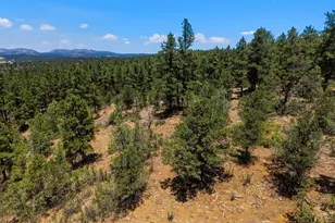 23251 Elk Trail, Aguilar, CO 81020 - Photo 40