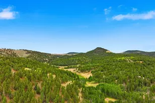 294 Vista De Agua, Westcliffe, CO 81252 - Photo 34