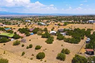 435 Twin Pines Ave, Rockvale, CO 81244 - Photo 6