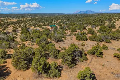 952 Twin Lakes Rd, Walsenburg, CO 81089 - Photo 34