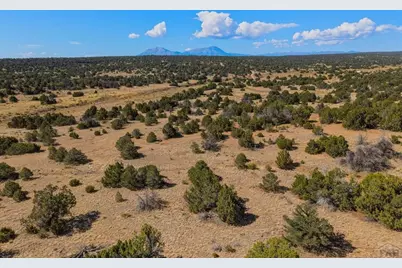 952 Twin Lakes Rd, Walsenburg, CO 81089 - Photo 36