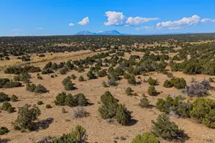 952 Twin Lakes Rd, Walsenburg, CO 81089 - Photo 36