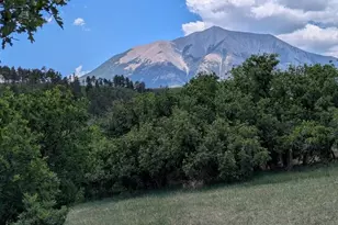 2254 Co Rd 318, Walsenburg, CO 81089 - Photo 16