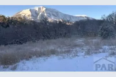 2254 County Road 318, Walsenburg, CO 81089 - Photo 10