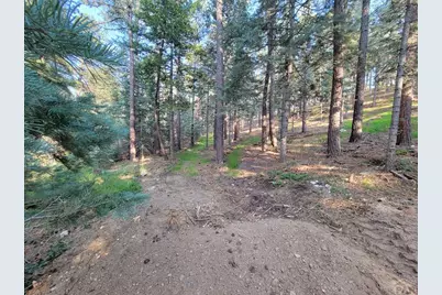 8335 Zorn Rd, Rye, CO 81069 - Photo 28