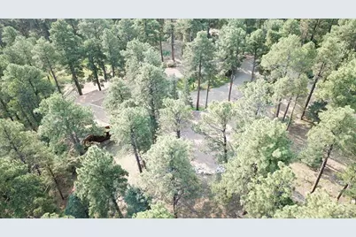 8335 Zorn Rd, Rye, CO 81069 - Photo 46
