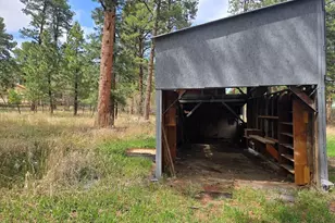 8229 Green Ln, Rye, CO 81069 - Photo 22