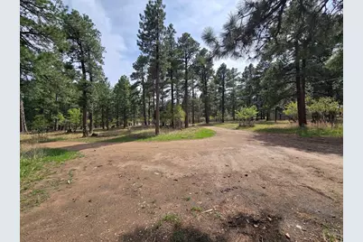 8229 Green Lane, Rye, CO 81069 - Photo 20
