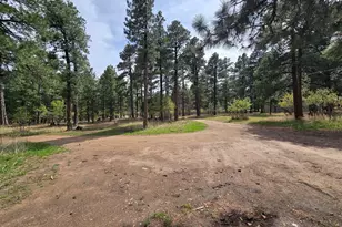 8229 Green Ln, Rye, CO 81069 - Photo 20