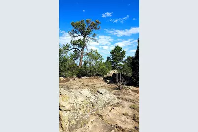 Lot 60 Turkey Ridge Rd, Walsenburg, CO 81089 - Photo 4