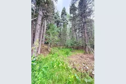 22954 Mt. Elbert Dr, Aguilar, CO 81020 - Photo 42